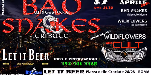 BAD SNAKES + WILDFLOWERS @ Let It Beer (Roma)