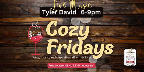 Cozy Friday (live music - Tyler David)