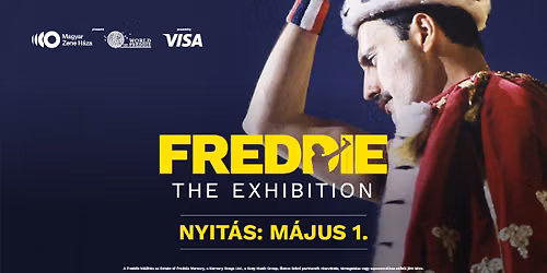 Freddie kur\u00e1tori vezet\u00e9s | Freddie ki\u00e1ll\u00edt\u00e1shoz kapcsol\u00f3d\u00f3 program