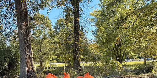 Great Saw Mill River Cleanup 2026: Clunie Avenue, Yonkers