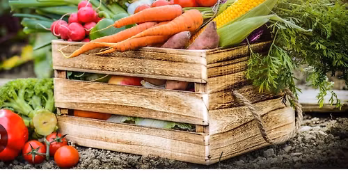 Harvest Home