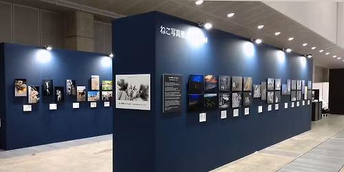 \u306d\u3053\u5199\u771f\u5c55\uff20CP\u207a2026