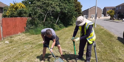 Join us to clear up Tudor Estate