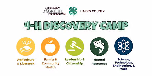 4-H Discovery Camp at Jesse H. Jones Park and Nature Center