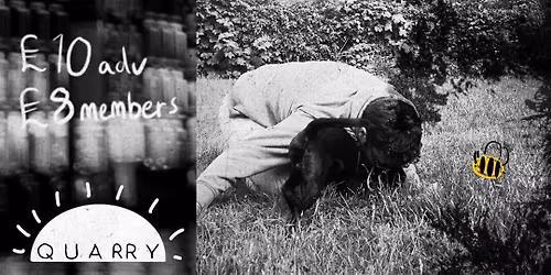 Hank Bee w\/ Hunky Dory, All Maudra + Disgrace