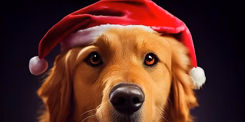 Mikul\u00e1\u0161sk\u00fd zav\u00edr\u00e1k