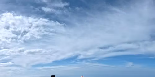 PEPE'S ISLAND BOOGIE X (2026)