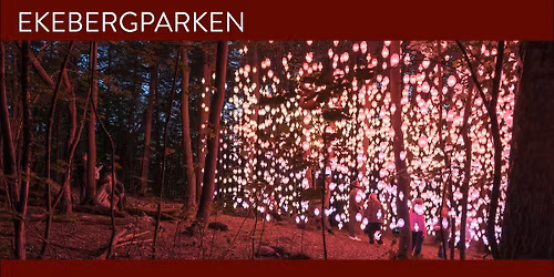 FEW TICKETS LEFT - Public Light Walk in Ekebergparken