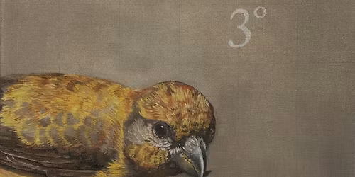 From Science to Action through Art: Four Artists Bear Witness to Climate Change