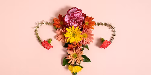 Menopause Support Group Gathering