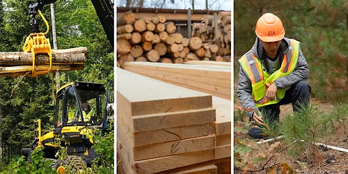 Timber, Taps, & Trivia: Kick Off Wisconsin Forest Products Week 2026!