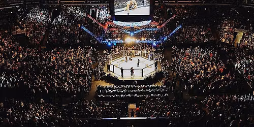 UFC Fight Night: Allen vs. Duncan
