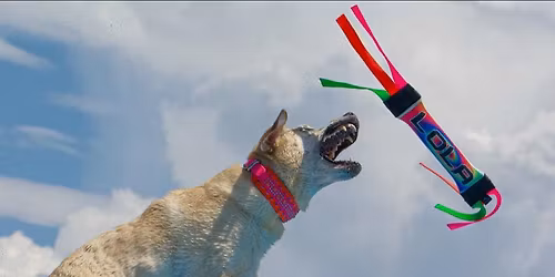 Second Annual New Years Eve "Catch-a-Palooza" Tournament!!!!