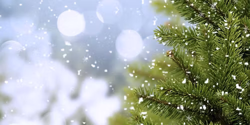 Julegate\u00e5pning i Eide sentrum