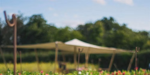 Floral Pick & Paint Experience at Stem & Green Flower Farm