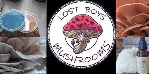 Mushroom Growing Workshop 