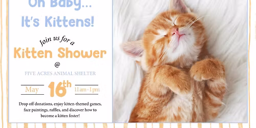 Kitten Shower