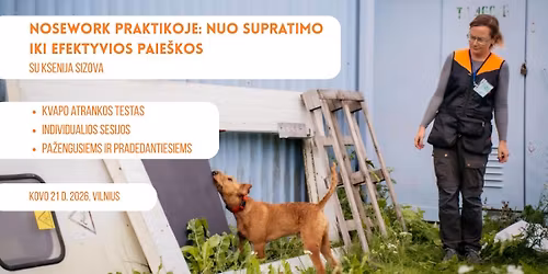 Nosework praktikoje: nuo supratimo iki efektyvios paie\u0161kos