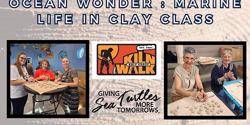 Ocean Wonder : Marine Life in Clay Class