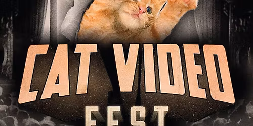 Cat Video Fest 2025