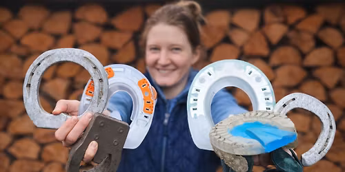 Semin\u00e1\u0159: KOPYTA, PODKOVY A POHYB \u2013 SROZUMITELN\u011a PRO MAJITELE