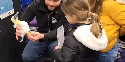 Marine Mission - Wetlands 2026