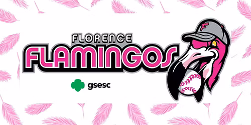 Florence Flamingos Girl Scout Night