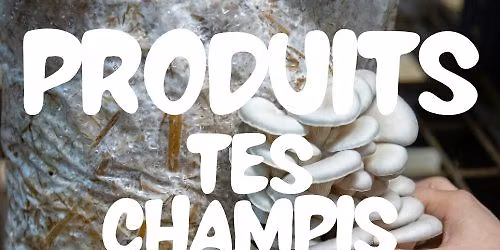 PRODUITS TES CHAMPIS! 2\u00e8me session