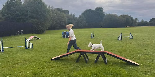Agility & Canine Hoopers Fundamentals class 