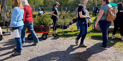 Friends of Lemoine Point Spring Tree, Shrub & Wildflower Sale