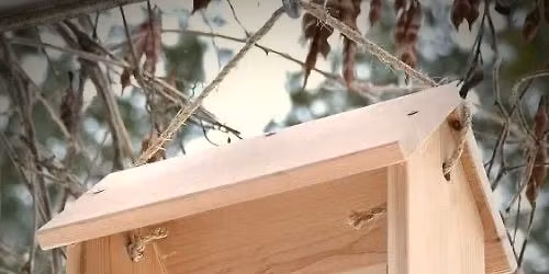 DIY Bird Feeder Workshop