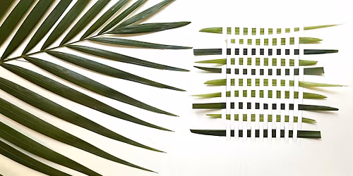 Weaving With Fronds