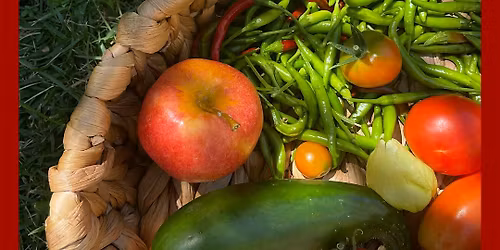 Getting to Know SNAP\/FNS