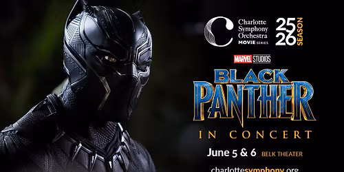 Black Panther in Concert