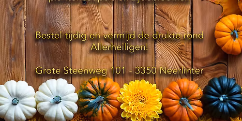 Opendeurweekend Allerheiligen
