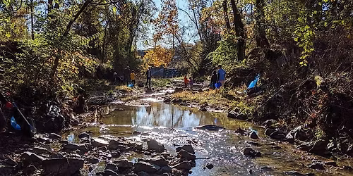 Chemical  Adopt-a-Stream Workshop
