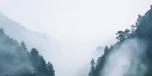 Picket Fences\/Mourning Mountains\/Hypermouth