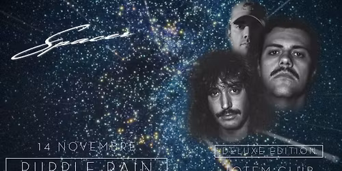 PURPLE RAIN SPACER - TOTEM CLUB