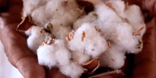 IHMC Natural Dye Festival Hyderabad 