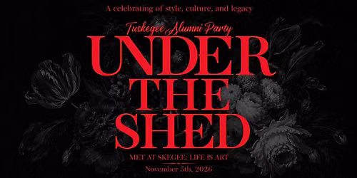 Under the Shed
