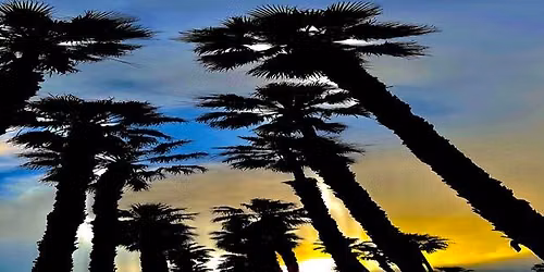 South Bay Acoustic at mbWINEco on Aug 15th from 6-9PM - 3500 N. Sepulveda - MB - Ste #104