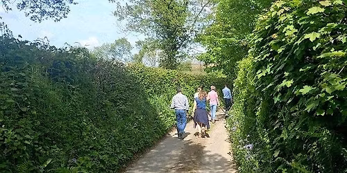 West Cornwall walking with Edward Chapman at Tehidy Woods.
