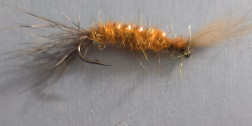 May 12th, 2026 meeting of the Merrimack River Valley Chapter of Trout Unlimited