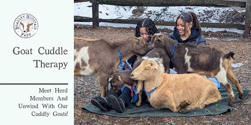 Goat Cuddle Therapy