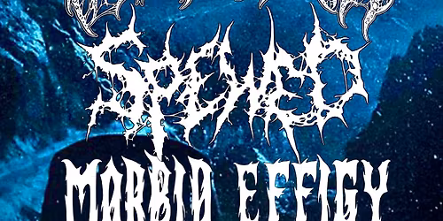 Protrusion\/Spewed\/Morbid Effigy at The Bishop