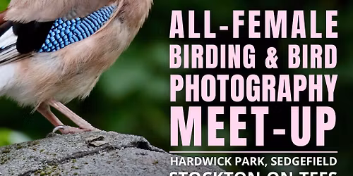 All-female Birding & Bird Photography Morning