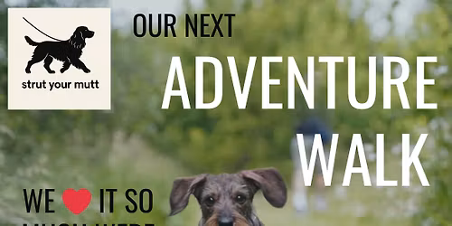 Adventure Walk