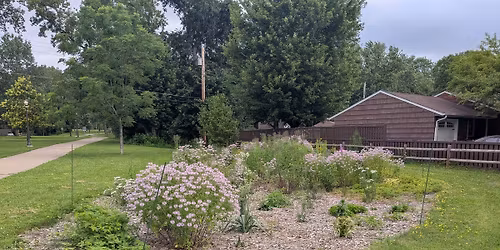 Tend Plantings - Orange