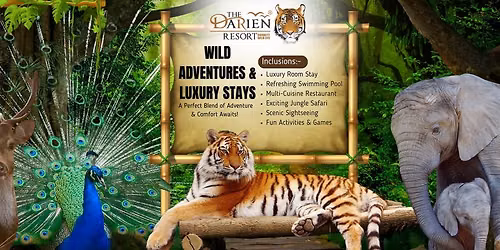 Holidays package