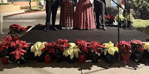 27th Annual Tree Lighting Ceremony